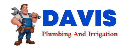 Trusted plumber in CLARK MILLS